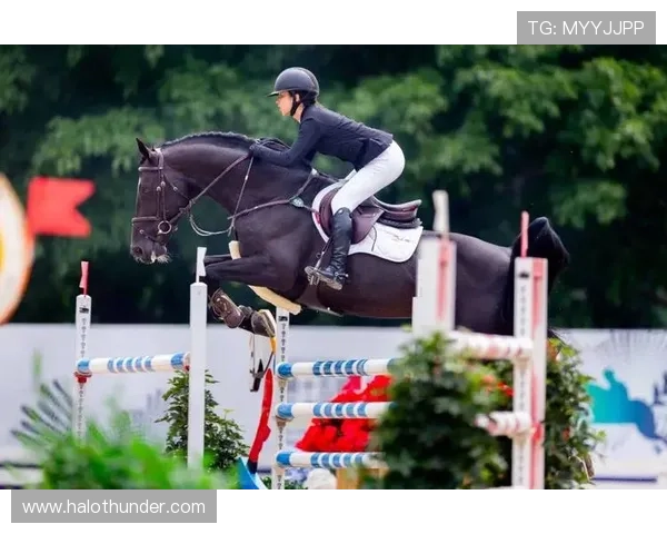 河北队创造全运会马术新历史 王韫婧个人赛荣获银牌